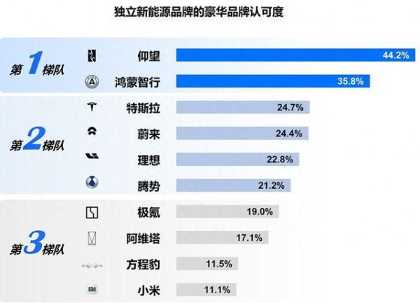 九游体育娱乐网仰望品牌诱导于2022年年底-九游体育 手机娱乐最全平台 登录入口