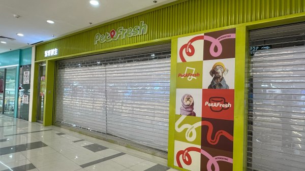 现金九游体育app平台加满一箱92号汽油将少花2元附近-九游体育 手机娱乐最全平台 登录入口